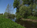 Řeka Křižanovice v úseku Chrudim - Pardubice