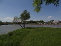 Řeka Chrudimka ve městě Pardubice