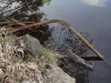Asi to bývalo zábradlí mostku přes nadrženou vodu potoka Valčice, ale takto zkroucené v přehradní nádrži je skutečně spíše tristním odpadem.