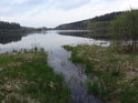 Malý levobřežní přítok Chrudimky se vlévá do přehrady Hamry.