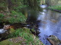 Jezerní potok je pravobřežní přítok Chrudimky, kterou posiluje v Mezisvětí.