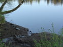 Krátký pravobřežní přítok Chrudimky posiluje řeku ve vyrovnávací nádrži Seč II.