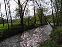 Odlesk Slunce v Chrudimce a k tomu sytá jarní zeleň činí řeku v Horním Bradle velice krásnou.
