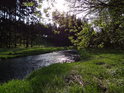 Chrudimka se již blíží krásným lesním úsekem do údolní nádrže Seč.