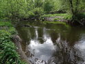 Poměrně málo dotčený úsek řeky Chrudimky u chráněného území Zadní rybník.